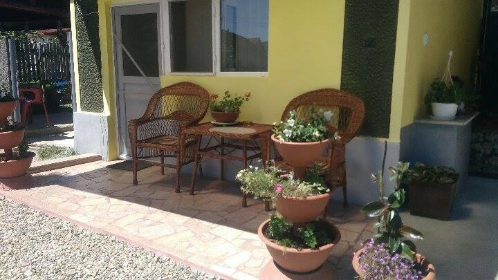 Casa Ana Apartment Hateg Exterior photo