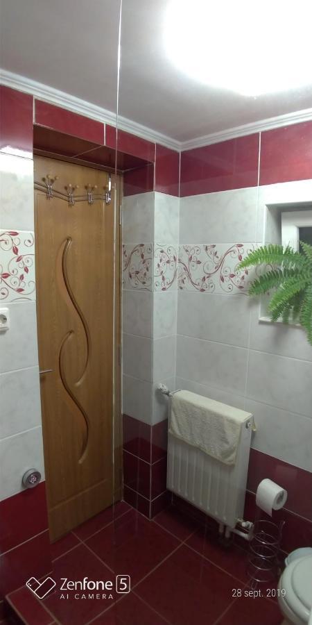Casa Ana Apartment Hateg Exterior photo
